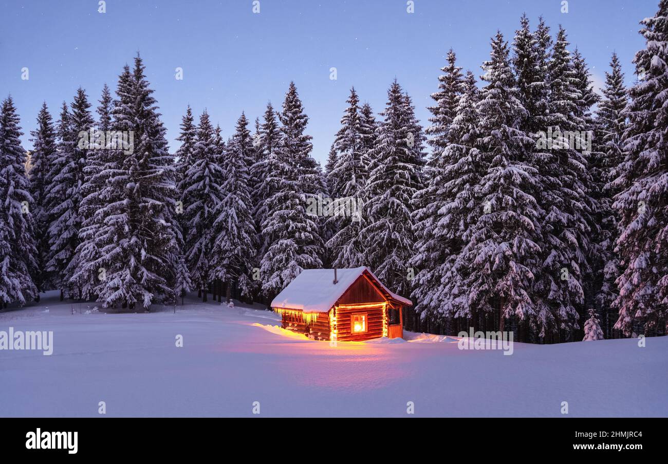 Abends leuchten die Lampen das Haus auf. Winterlandschaft. Holzhütte auf dem mit Schnee bedeckten Rasen. Mystische Nacht. Heiraten Sie Weihnachten und Neu Stockfoto