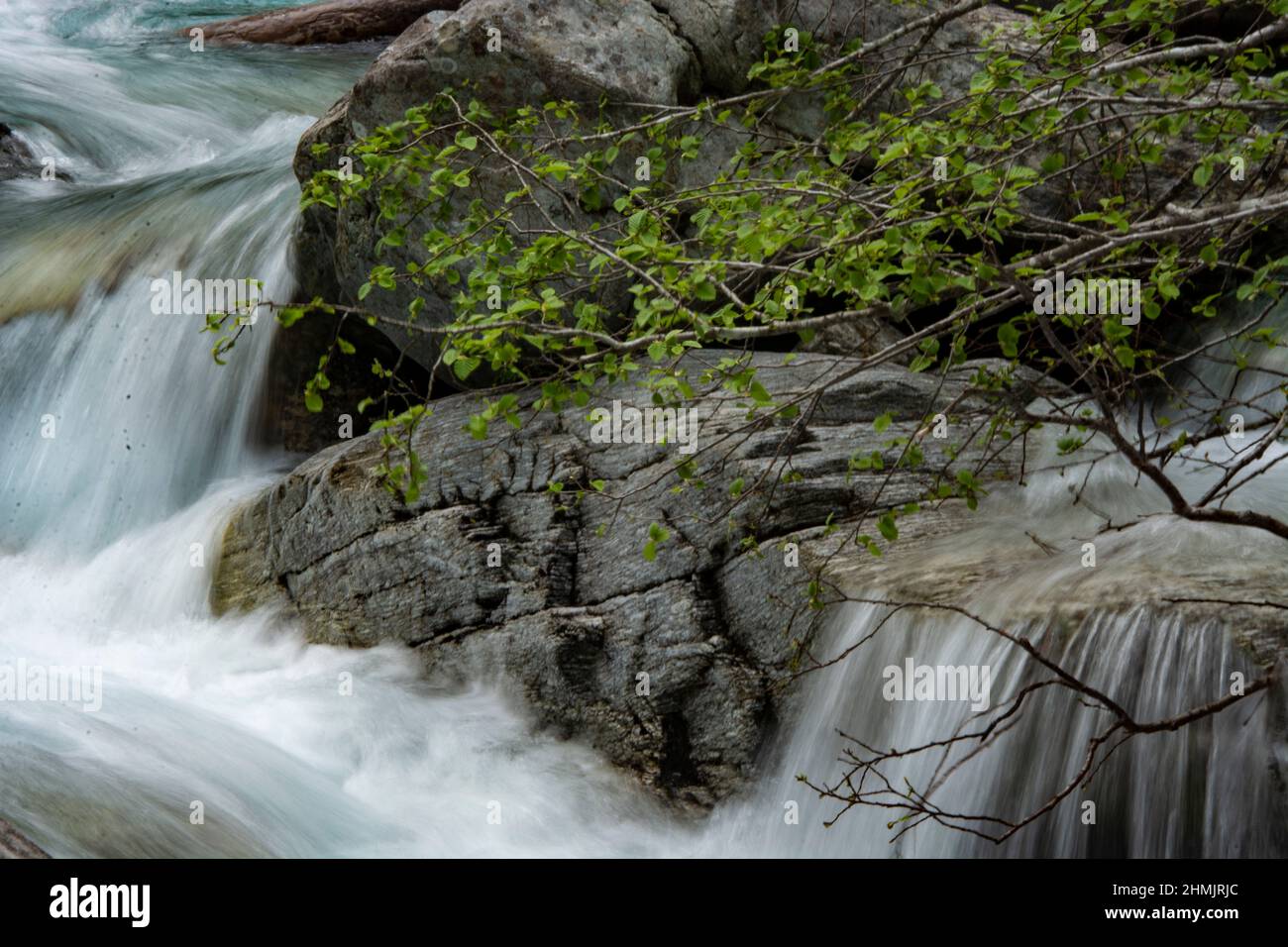 Der Riale di Moleno, ein malerischer und ungebändigter Bergbach im Tessin, Schweiz Stockfoto