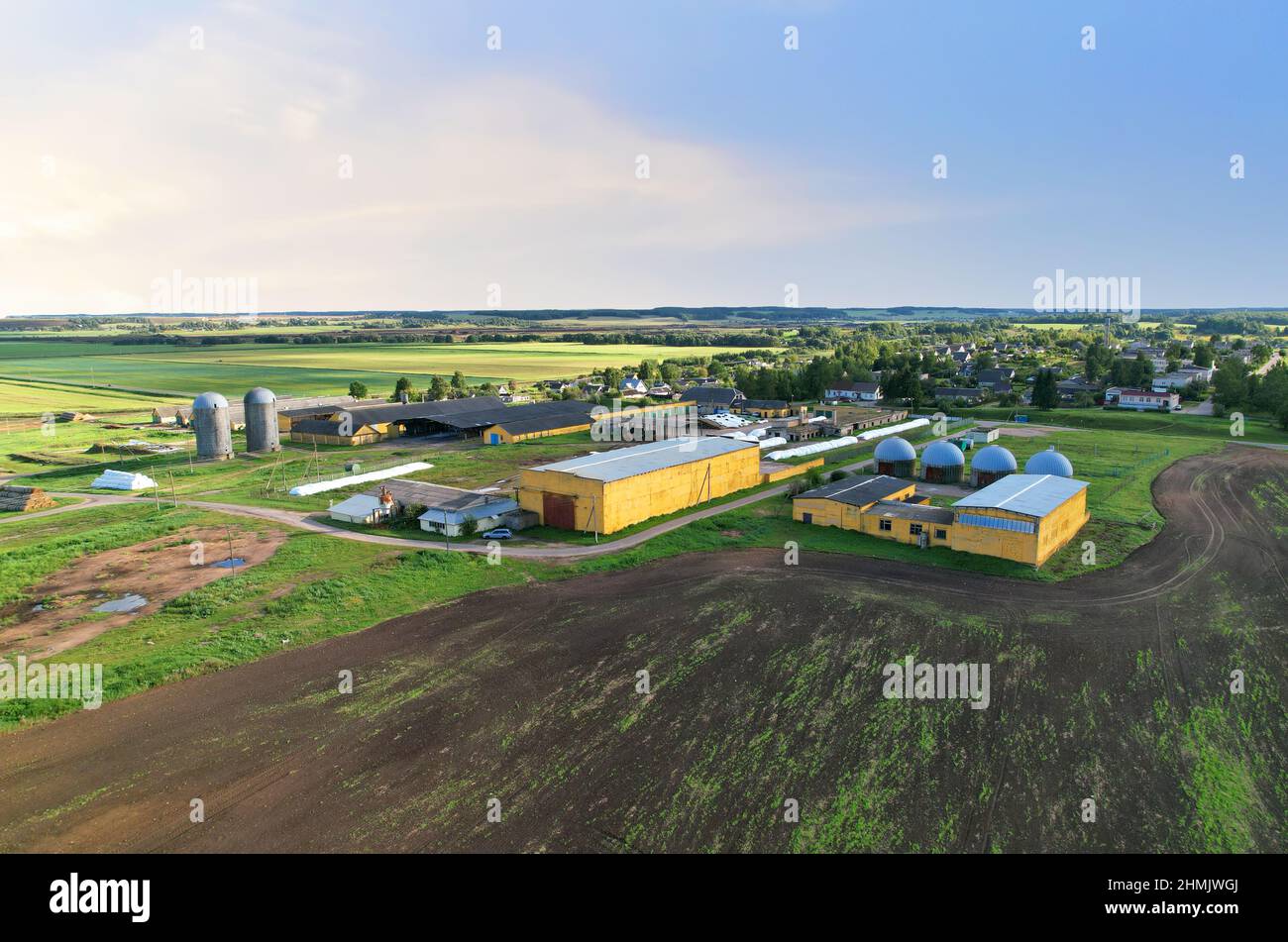Ackerland mit Scheune auf dem Bauernhof, Luftaufnahme. Kühe und Schweine im Dorf. Silolagerung auf dem Bauernhof. Aufzug zur Lagerung von Siliage und Getreide. Zuführsilos-Magazin. Fa Stockfoto