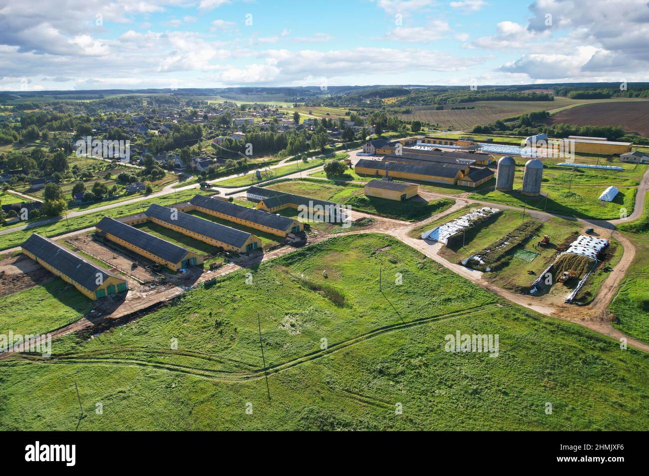 Ackerland mit Scheune auf dem Bauernhof, Luftaufnahme. Kühe und Schweine im Dorf. Silolagerung auf dem Bauernhof. Aufzug zur Lagerung von Siliage und Getreide. Zuführsilos-Magazin. Fa Stockfoto