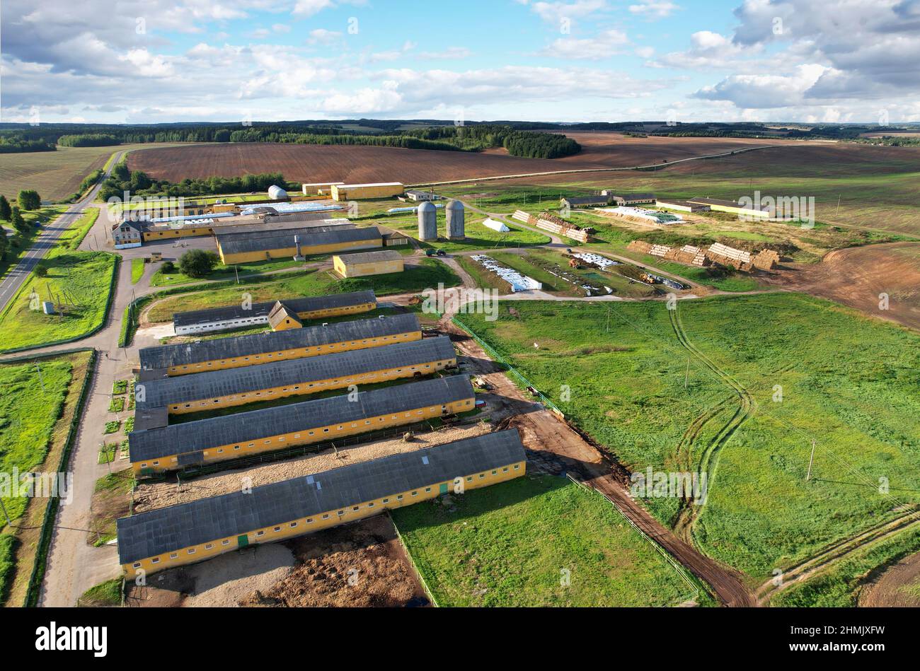 Ackerland mit Scheune auf dem Bauernhof, Luftaufnahme. Kühe und Schweine im Dorf. Silolagerung auf dem Bauernhof. Aufzug zur Lagerung von Siliage und Getreide. Zuführsilos-Magazin. Fa Stockfoto