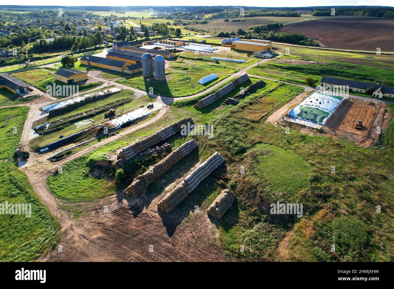 Ackerland mit Scheune auf dem Bauernhof, Luftaufnahme. Kühe und Schweine im Dorf. Silolagerung auf dem Bauernhof. Aufzug zur Lagerung von Siliage und Getreide. Zuführsilos-Magazin. Fa Stockfoto