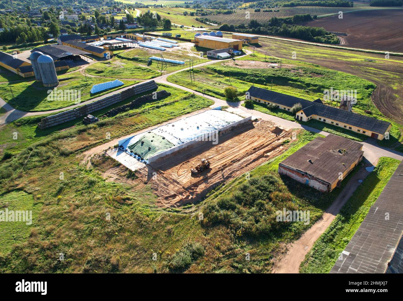 Ackerland mit Scheune auf dem Bauernhof, Luftaufnahme. Kühe und Schweine im Dorf. Silolagerung auf dem Bauernhof. Aufzug zur Lagerung von Siliage und Getreide. Zuführsilos-Magazin. Fa Stockfoto