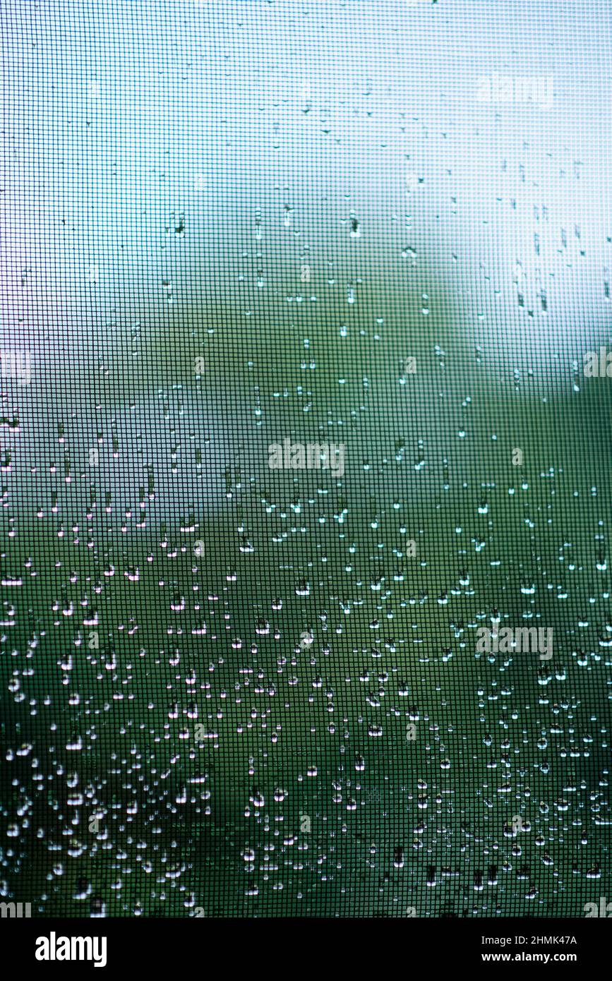 Reine Regentropfen auf einem Moskitonetz vor einem Hintergrund von flauschigen grünen Bäumen. Wassertropfen modellieren den Vordergrund. Stockfoto