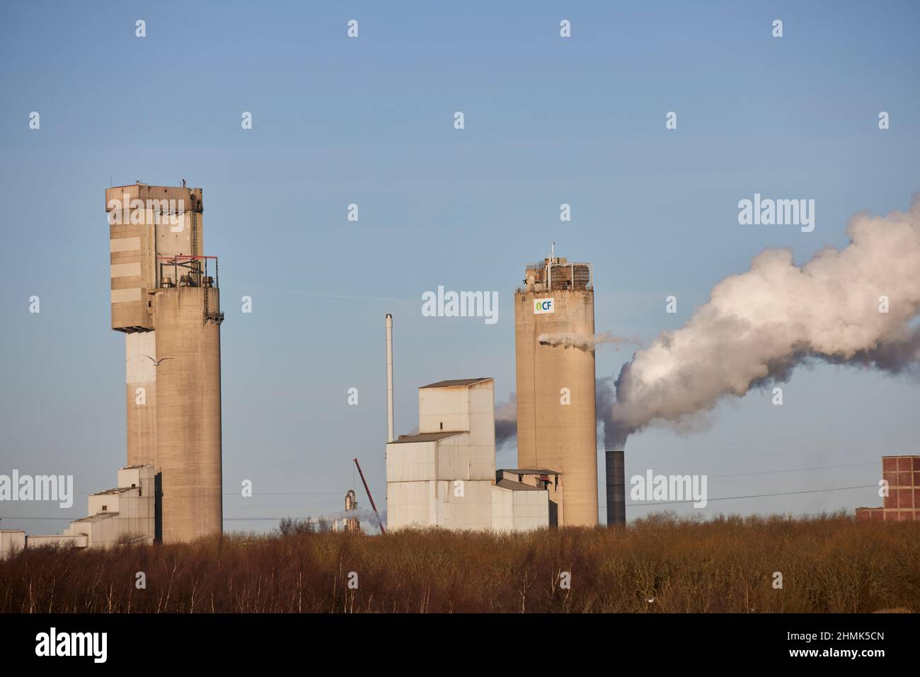 CF Industries, weltweit führender Hersteller von Wasserstoff- und Stickstoffprodukten, Billingham Stockton-on-Tees, County Durham, England Stockfoto