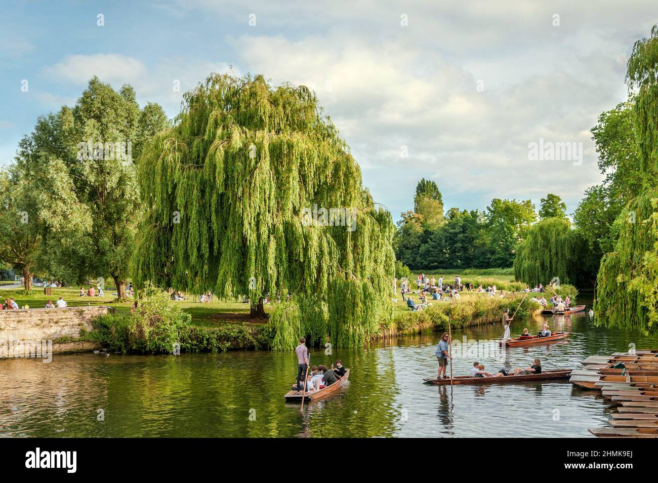 Studenten poken auf dem River Cam, Cambridge, England Stockfoto