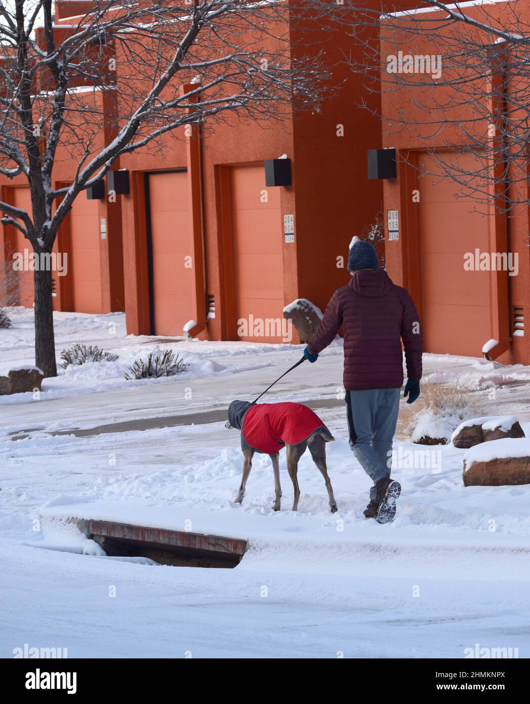 Ein Mann geht in Santa Fe, New Mexico, zu seinem Rettungshund. Der Hund trägt einen Wintermantel und einen Halswärmer oder einen Hundeschnül von Voyager K9 Apparel. Stockfoto