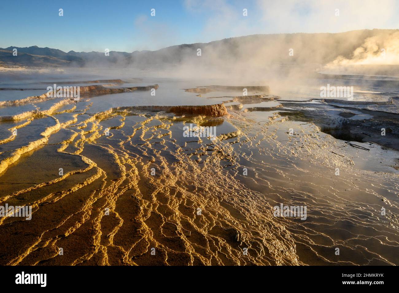 Canary Spring bei Upper Mammoth Terraces im Yellowstone National Park. Stockfoto