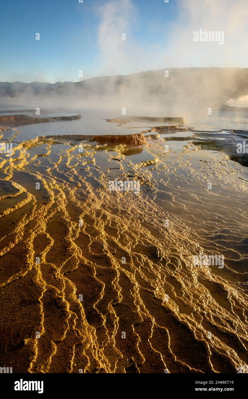 Canary Spring bei Upper Mammoth Terraces im Yellowstone National Park. Stockfoto