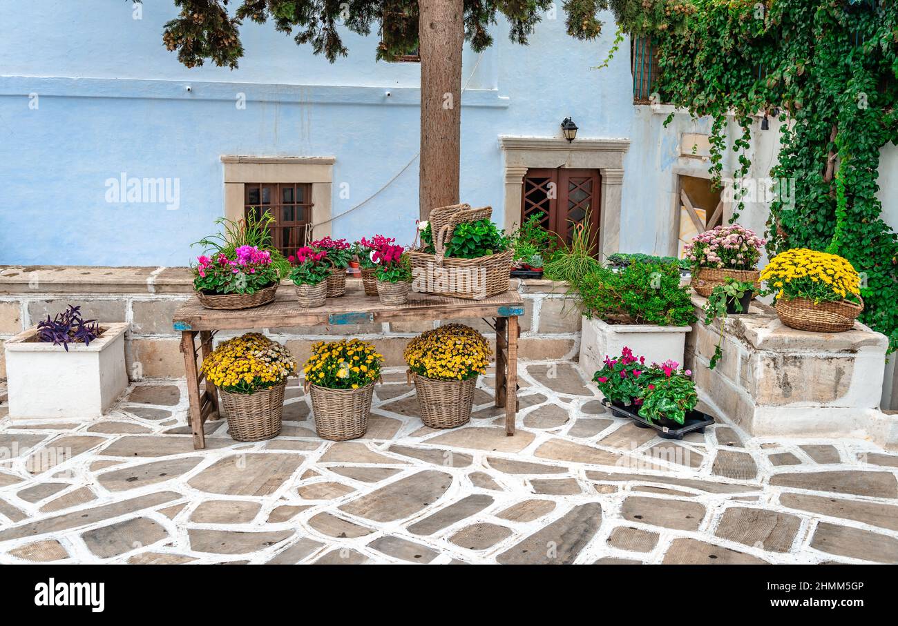 Schöne gepflasterte Gasse mit Blumentöpfen in der Stadt Tinos, auf den Kykladen-Inseln, Griechenland. Stockfoto