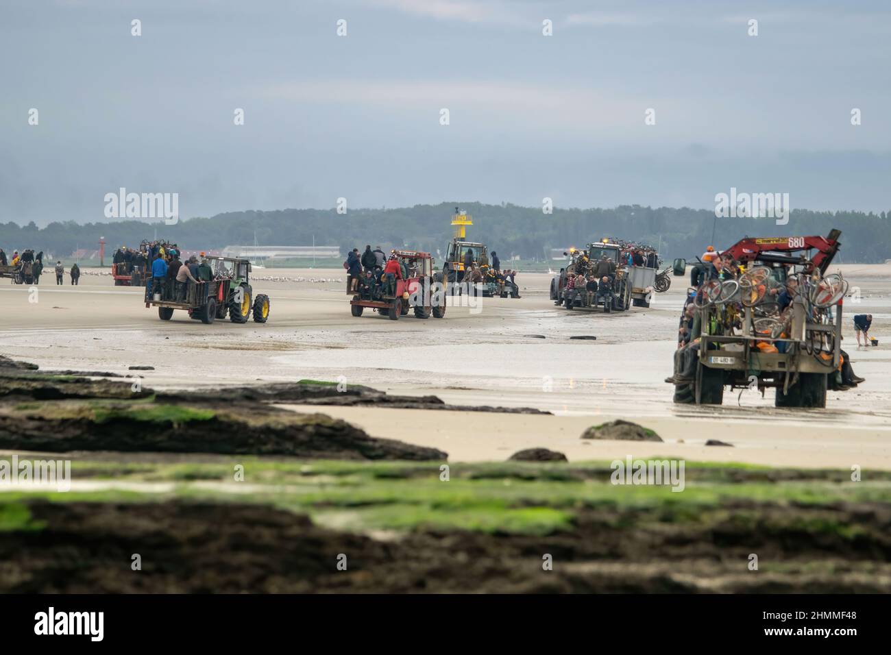 Tracteurs et remorques pêche à pied en baie de Somme Stockfoto