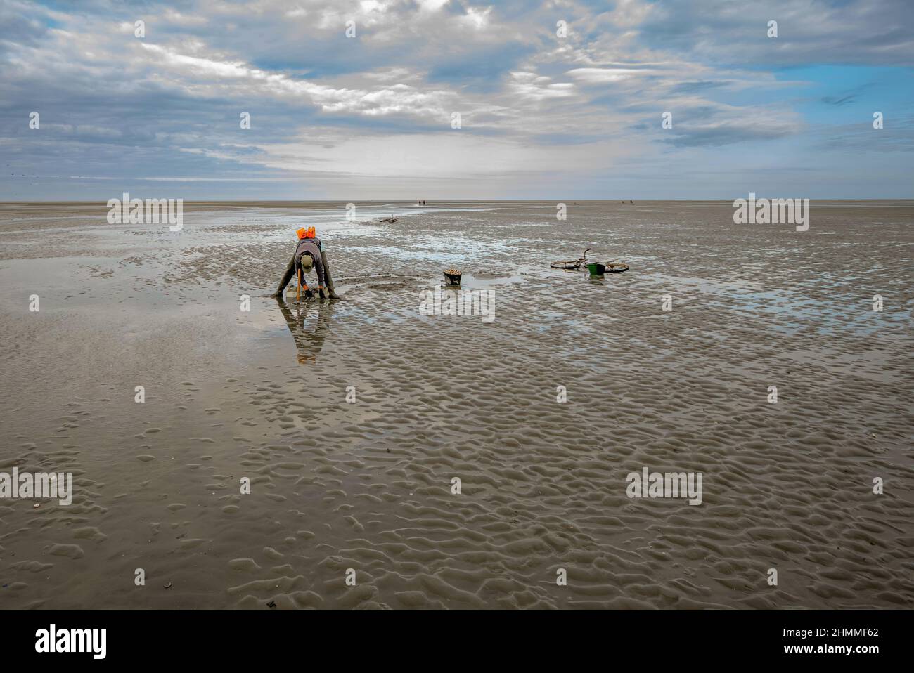 la pêche à pied professionnelle en baie de Somme Stockfoto