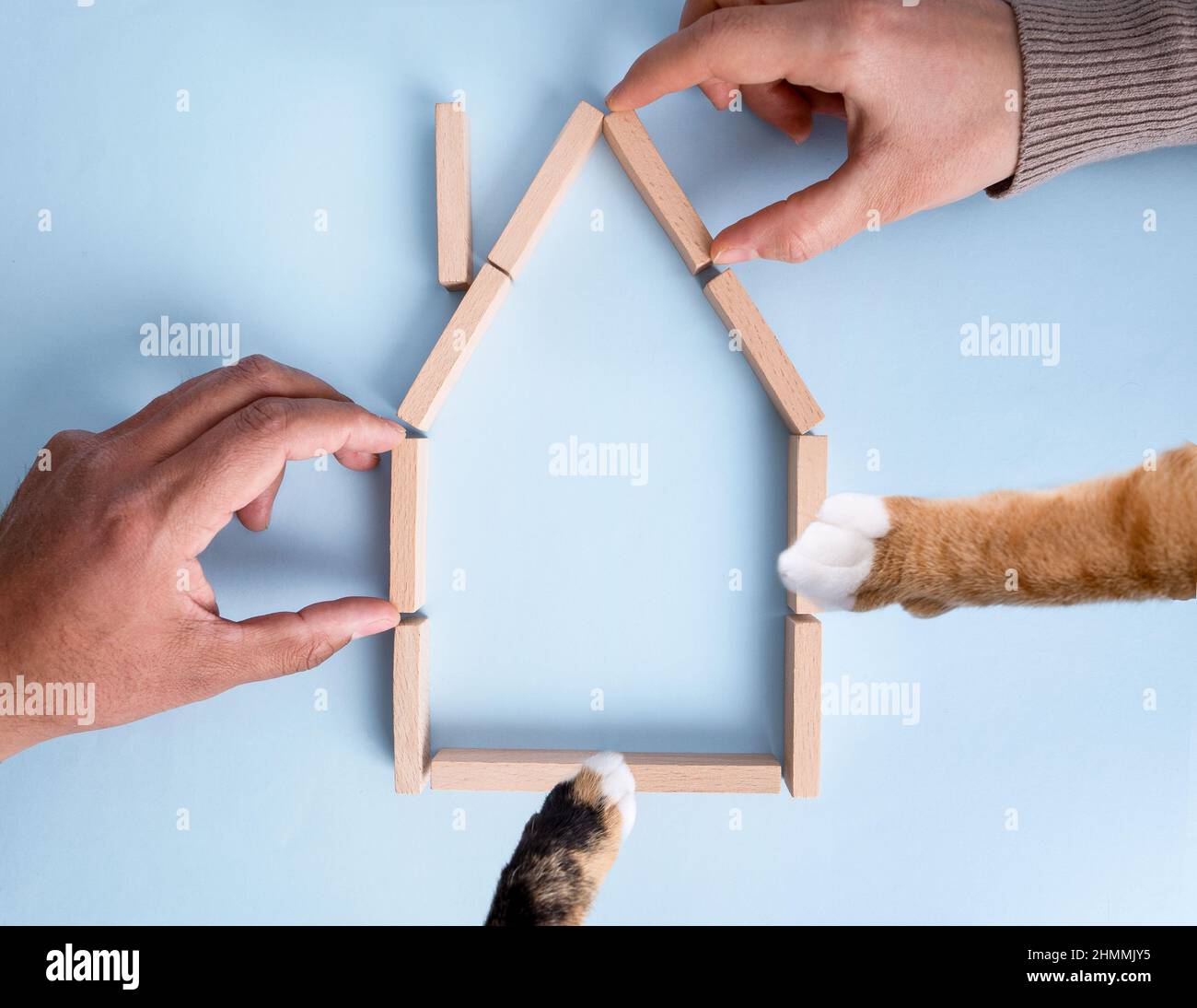 Draufsicht Foto von Mann, Frau und Katze Hände halten Haus geformte Holzziegel. Konzept der Familien- und Katzen- oder Haustierversicherung. Stockfoto