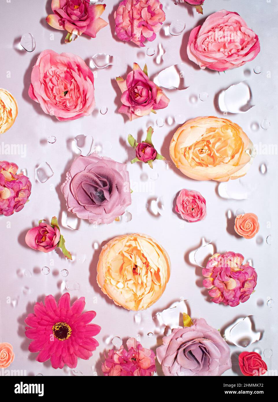 Sommerszene mit rosa Rosenblüten im Wasser. Sonne und Schatten. Minimaler Naturhintergrund. Flat Lay kreatives Konzept. Stockfoto