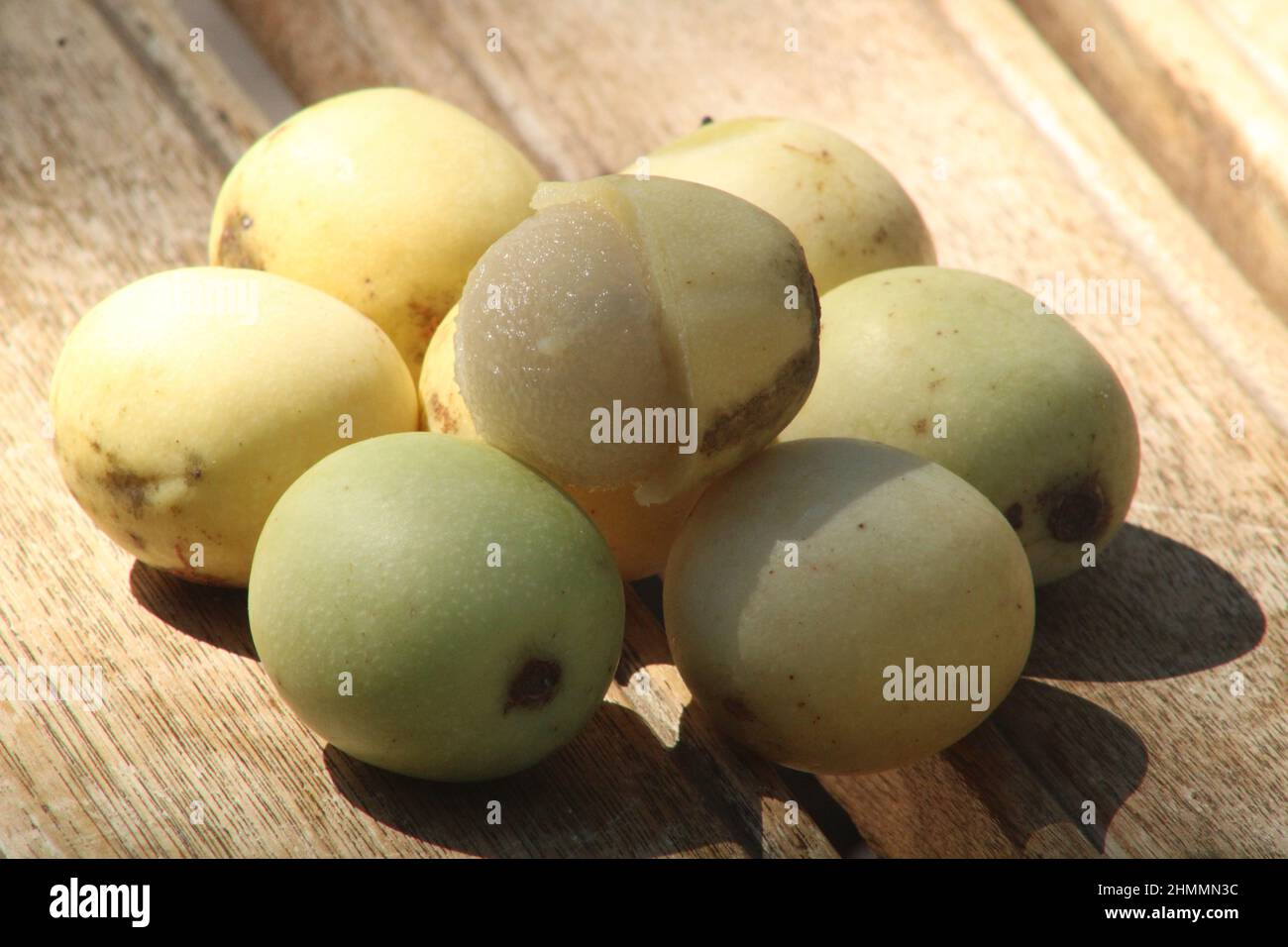 Marula Baumfrüchte in Südafrika Stockfoto