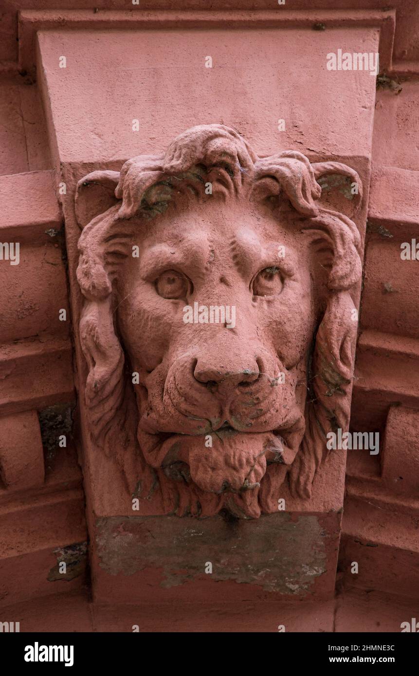 Keystone als Löwenkopf in einem Torbogen eines Gebäudes in der historischen Altstadt von Quedlinburg, Sachsen-Anhalt, Deutschland, Europa ausgeführt. Stockfoto