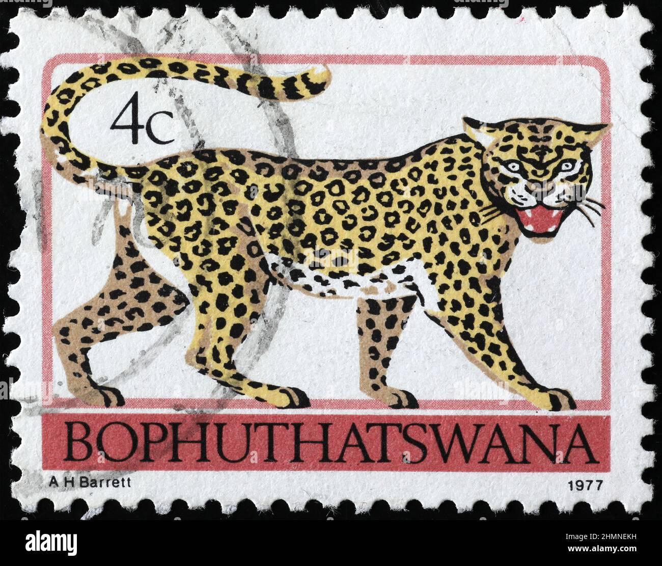 Leopard auf südafrikanischer Briefmarke Stockfoto