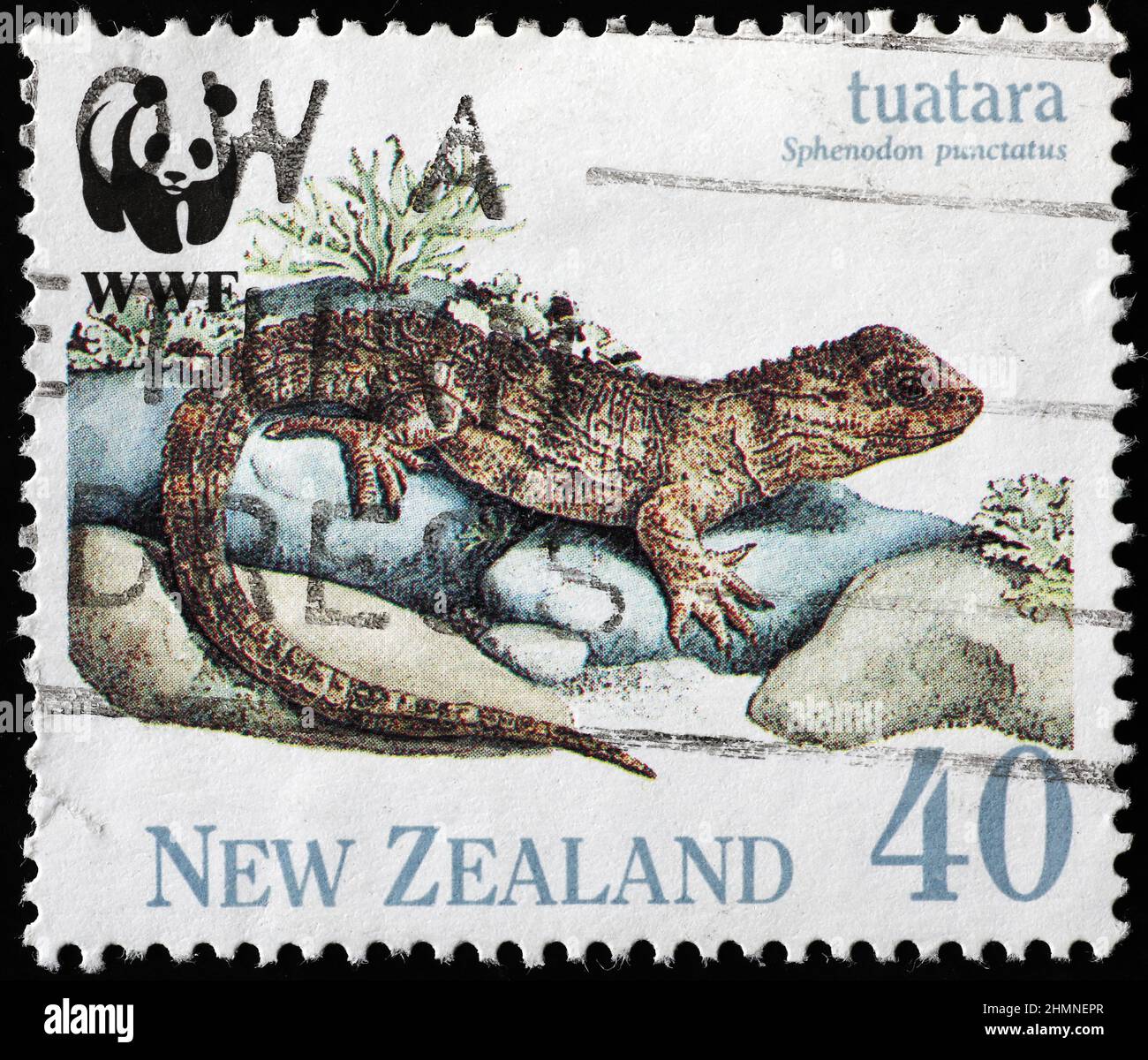 Lizard Tuatara auf neuseeländischer Briefmarke Stockfoto