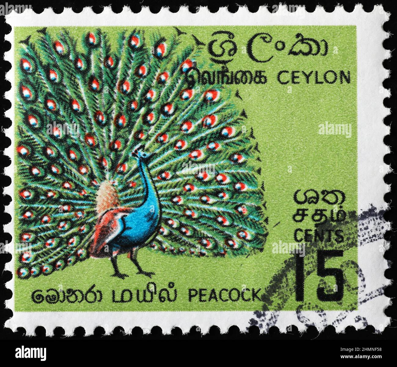 Pfau in der Ausstellung auf sri lanka Briefmarke Stockfoto
