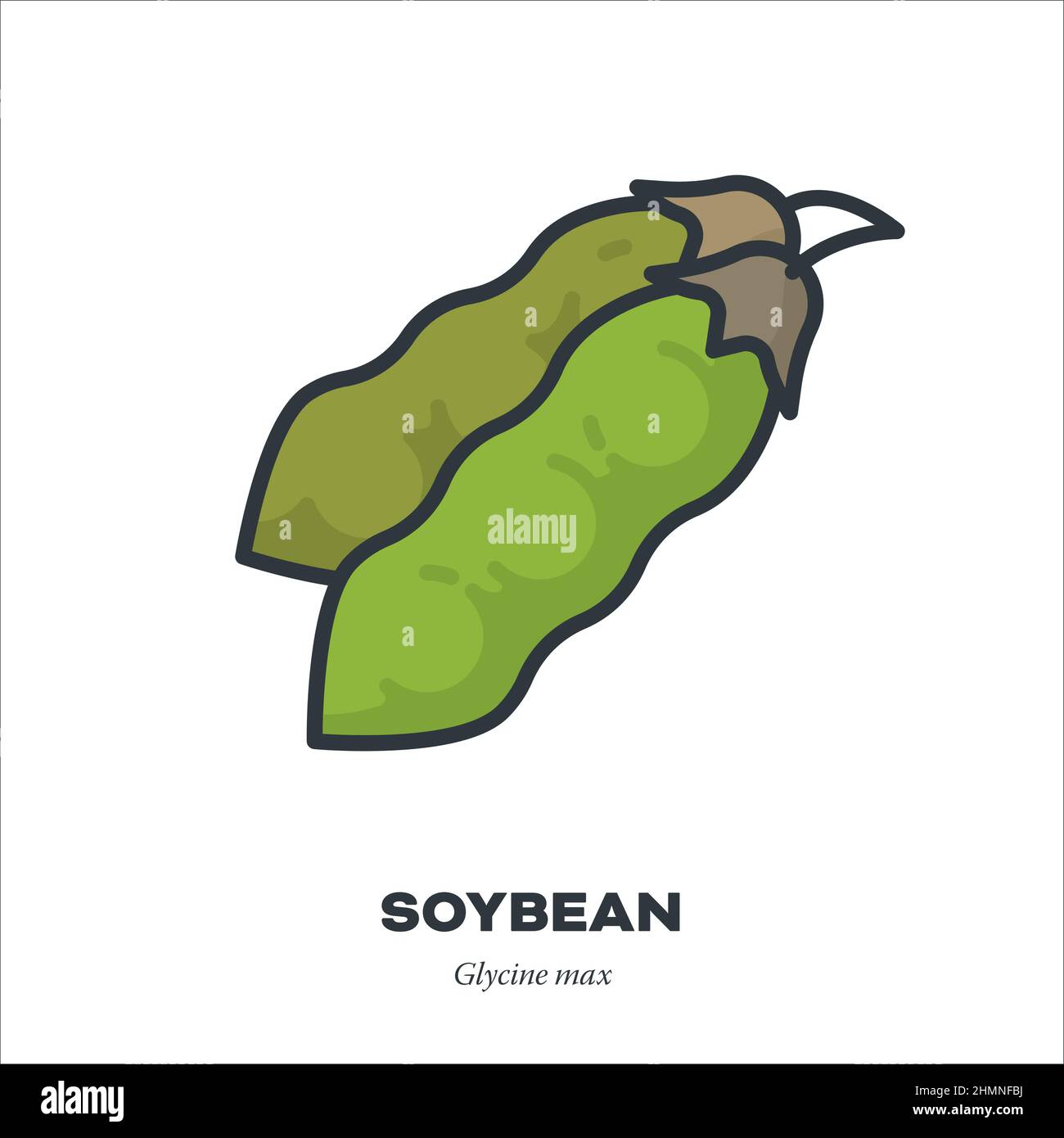 Soybeamn oder Sojabohnenschoten Gemüse-Symbol, Umriss mit Farbe füllen Stil Vektorgrafik Stock Vektor