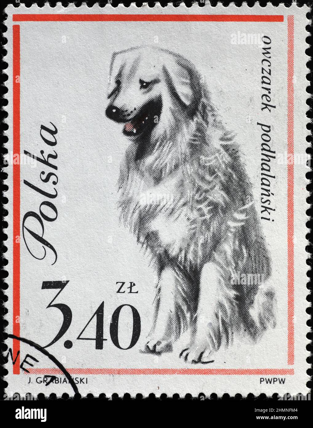 Tatra Schäferhund auf polnischer Briefmarke Stockfoto