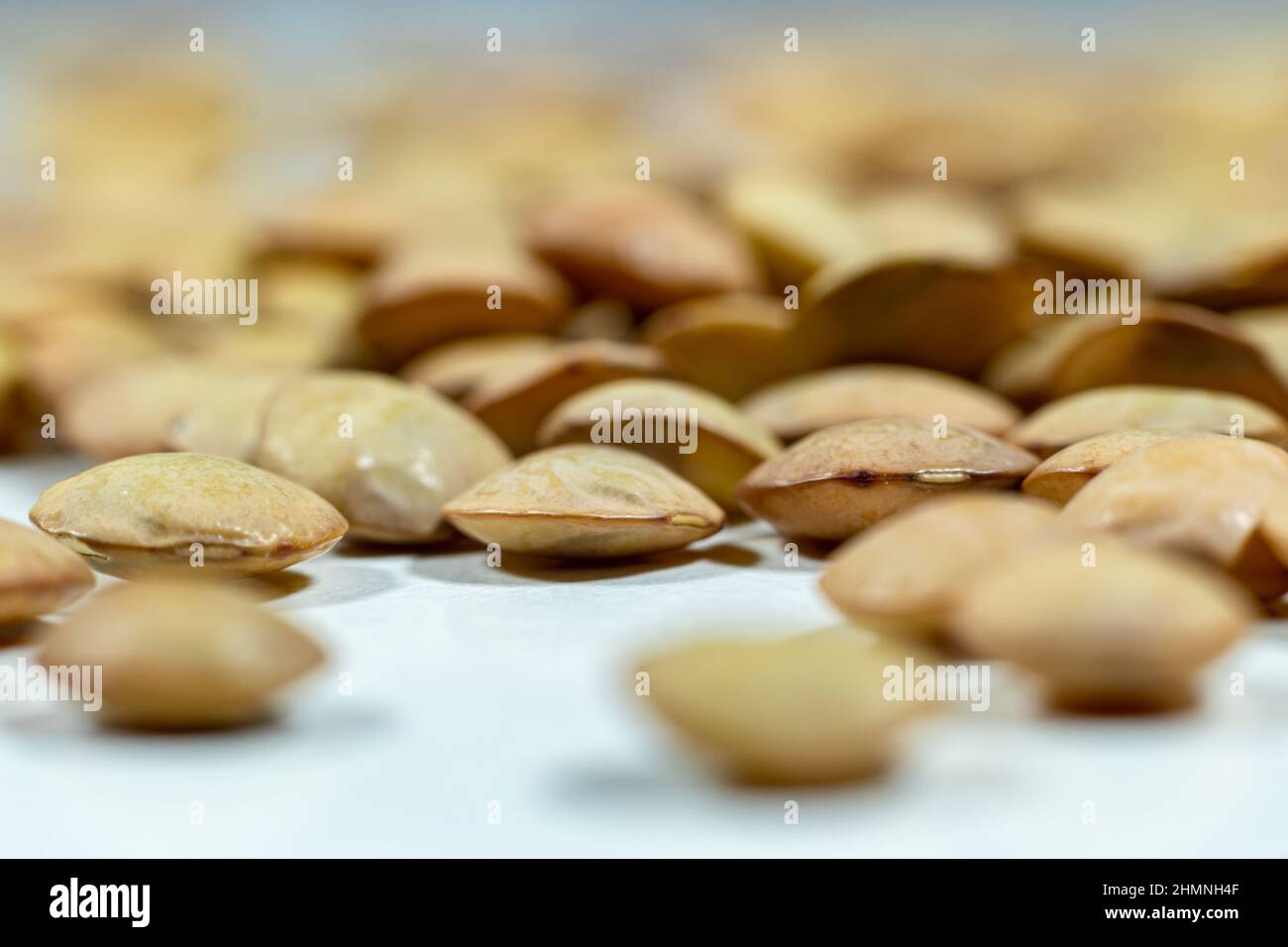 Isolierter Stapel ungekochte Linsen auf weißem Hintergrund - trockene Bohnen - Nahaufnahme - Makroaufnahmen. Stockfoto