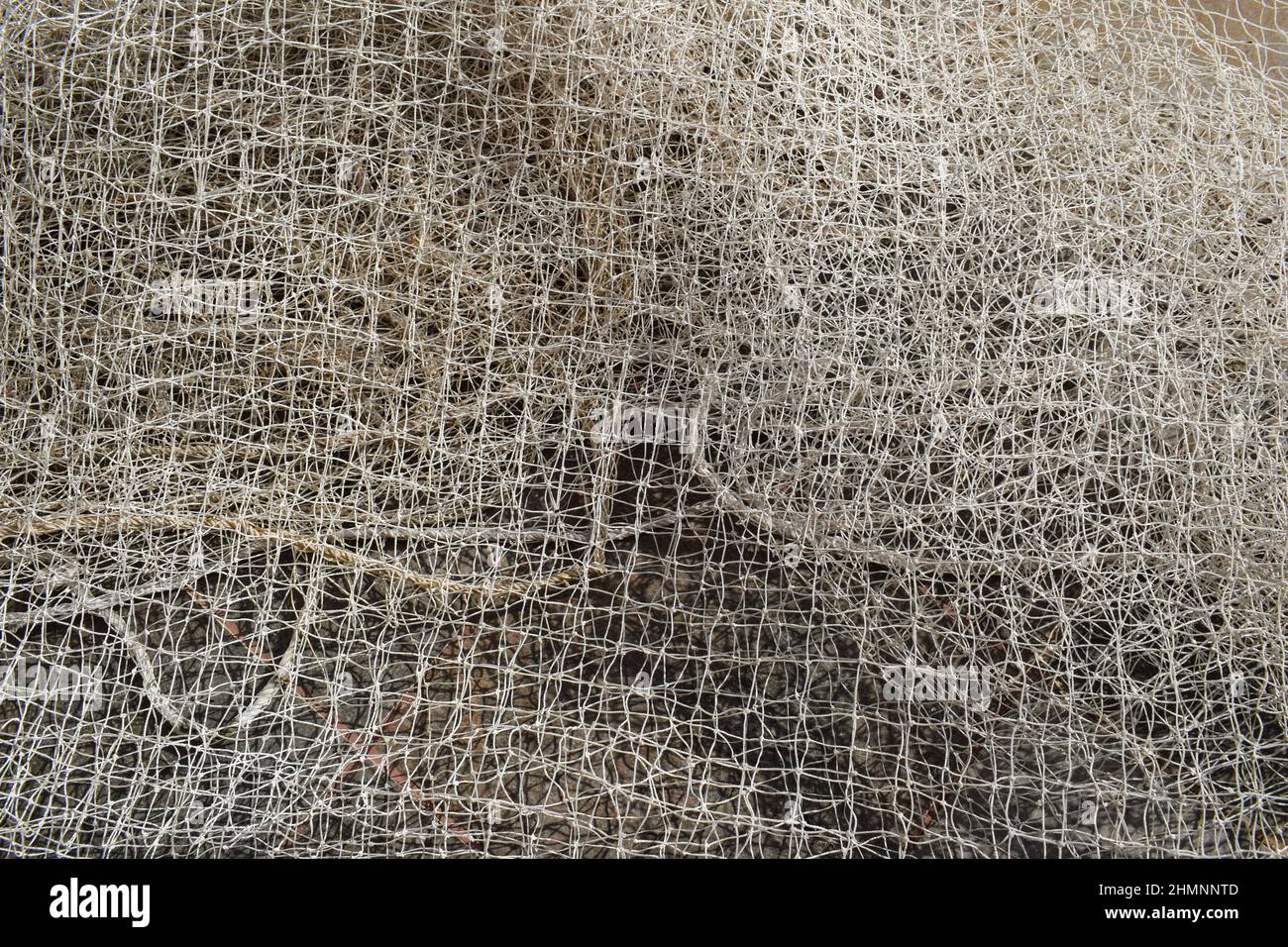 Weißes Nylonnetz zum Schutz des Küchengartens oder Balkons vor Vögeln, Affen und Tauben. Netzhintergrund Stockfoto