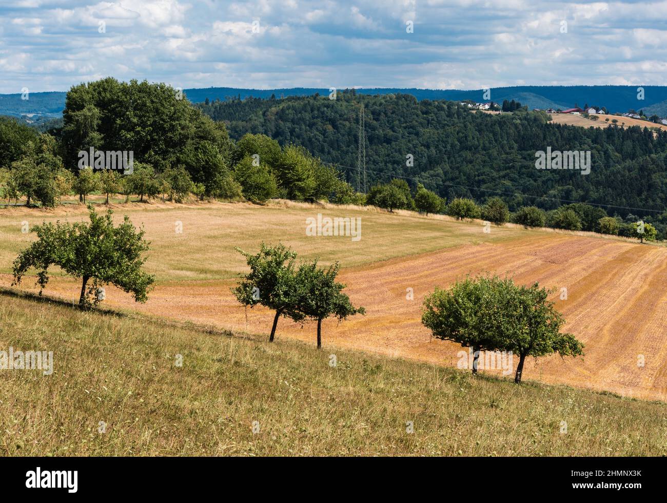Landschaftlich reizvoller Blick über die Landschaft um Johannesberg, Hessen, Deutschland Stockfoto