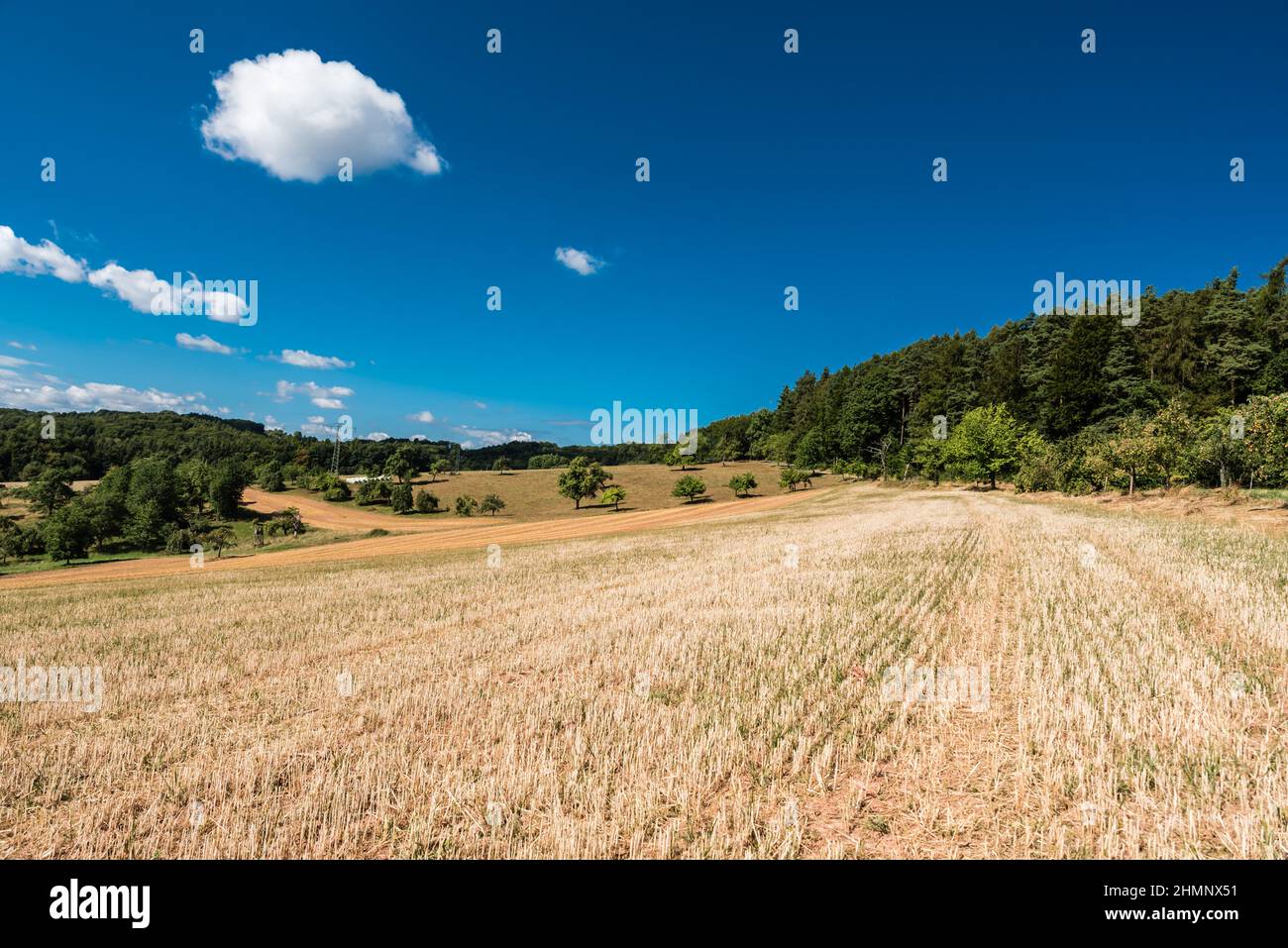 Landschaftlich reizvoller Blick über die Landschaft um Johannesberg, Hessen, Deutschland Stockfoto