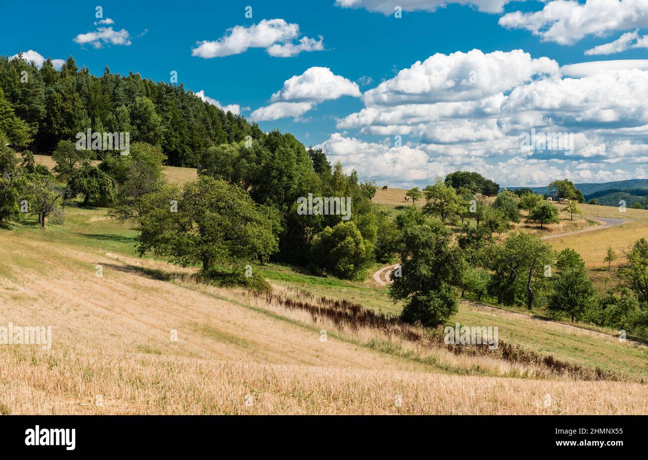 Landschaftlich reizvoller Blick über die Landschaft um Johannesberg, Hessen, Deutschland Stockfoto