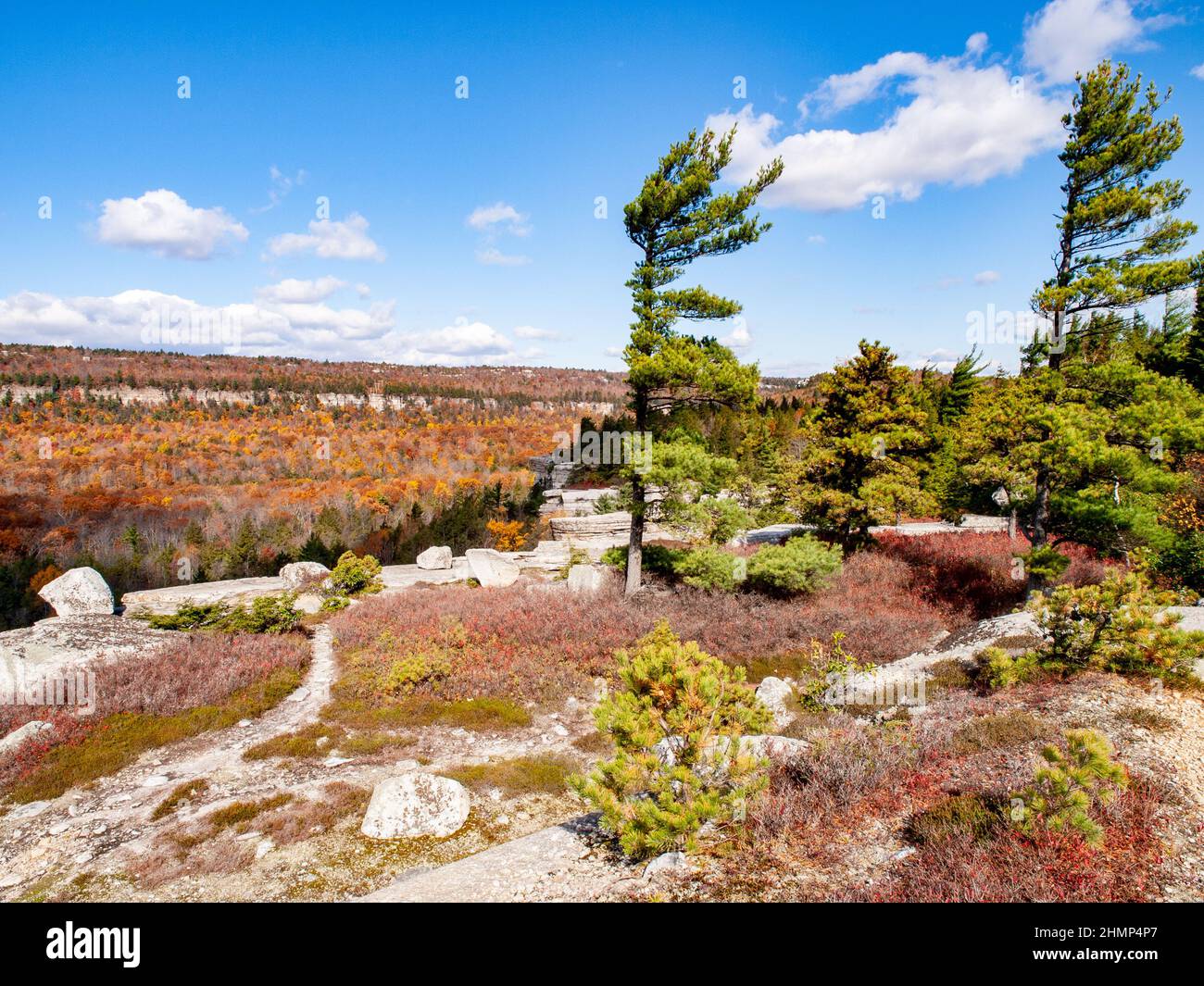 Herbstansicht der Shawanagunk Mountains, New Paltz, NJ USA. The Gunks. Stockfoto