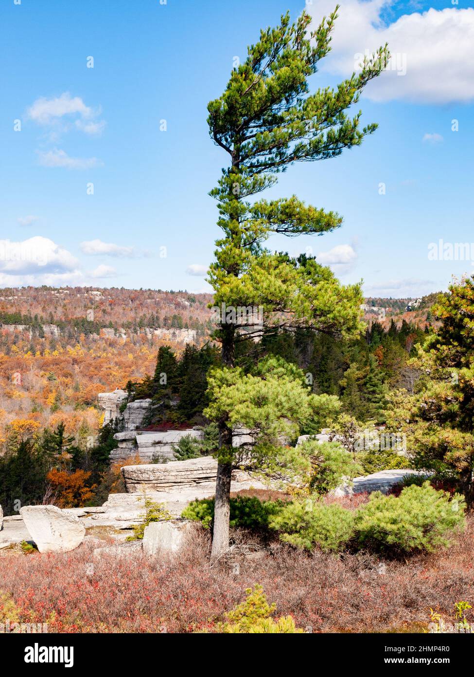 Herbstansicht der Shawanagunk Mountains, New Paltz, NJ USA. The Gunks. Stockfoto