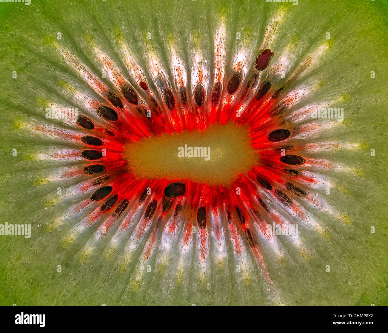 Nahaufnahme der Kiwi-Frucht, Hintergrund der geschnittenen Kiwi-Frucht Stockfoto
