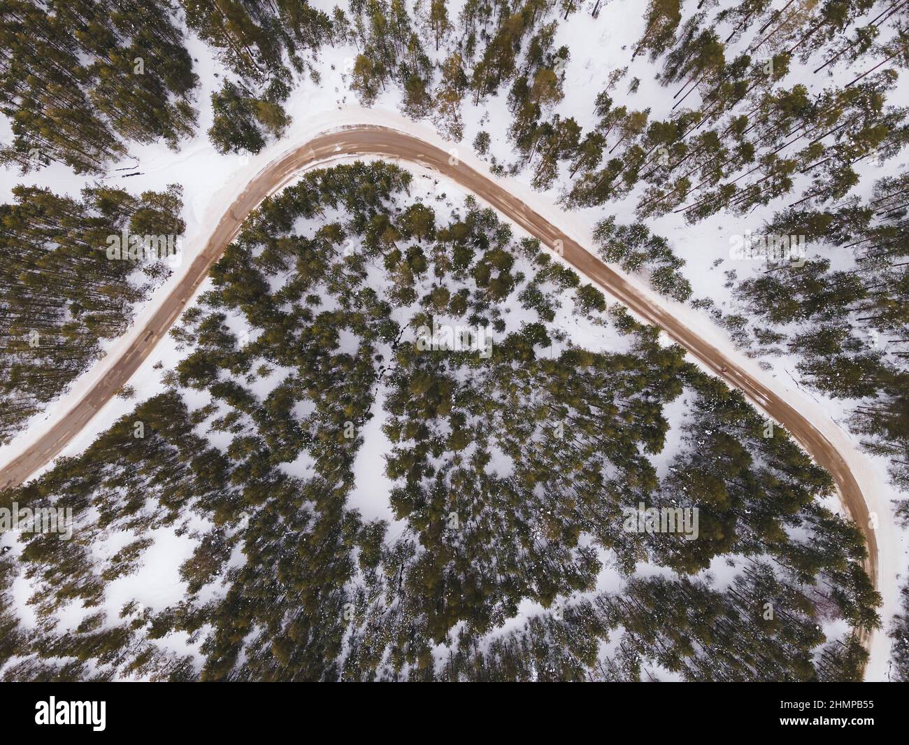Kurvenreiche Straße In Der Winterlandschaft. Luftaufnahme von Drohne der Straße zwischen Bäumen im verschneiten Wald. Stockfoto