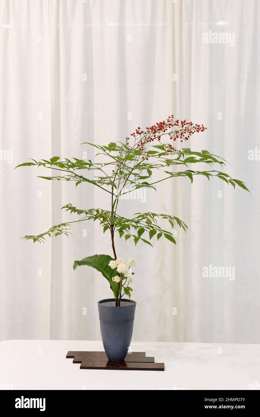 Japanische Ikebana Blumenarrangements auf der Northwest Flower and Garden Show in Seattle, Washington. Stockfoto