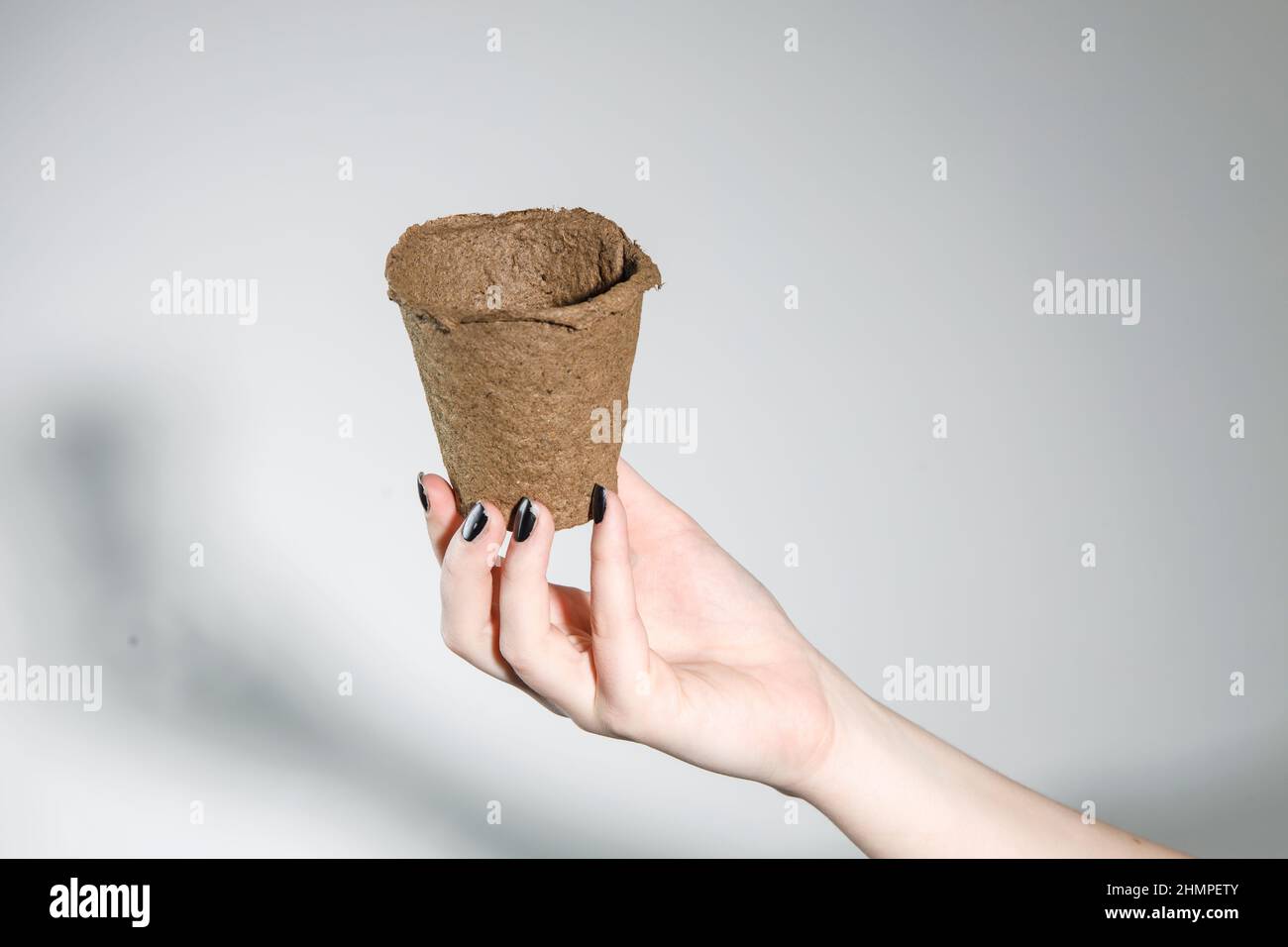 Fragment. Eine weibliche Hand mit einer schwarzen Maniküre hält einen Torftopf zum Aussaat von Samen an einer weißen Wand. Für Text platzieren Stockfoto