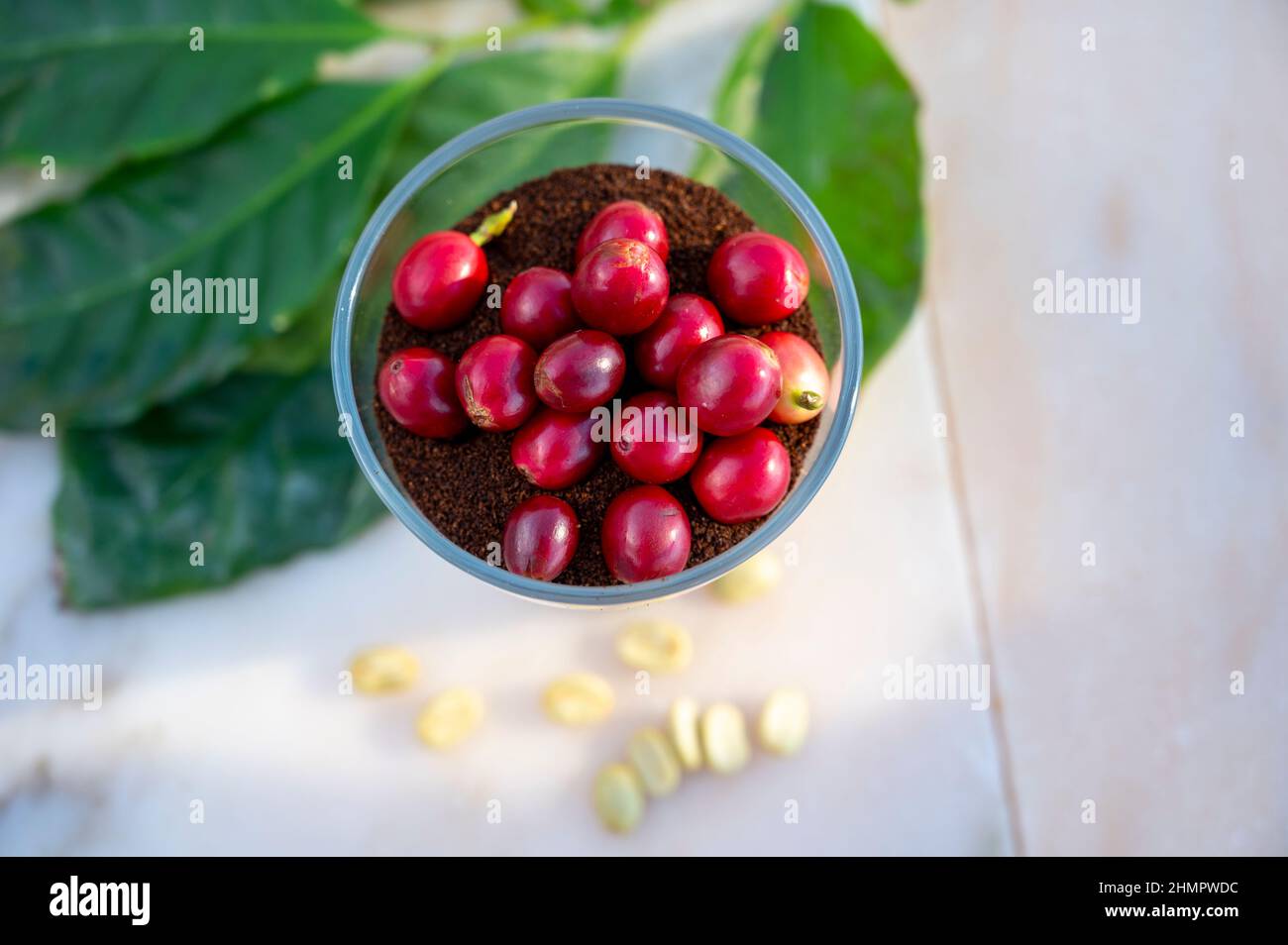 Rote reife arabica-Kaffeebeeren, grüne Kaffeesorten, Blätter und gerösteter gemahlener Kaffee in Glas aus nächster Nähe auf einem Marmortisch Stockfoto