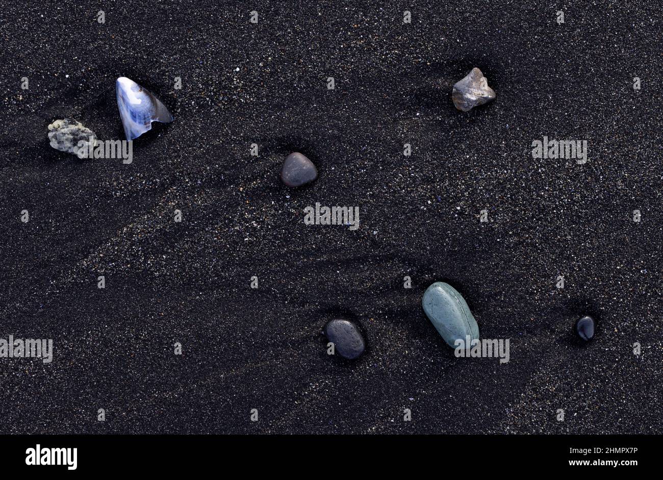 Kiesel und Muschel am schwarzen Sandstrand von Stokksnes, Hornafjordur, Island. Stockfoto