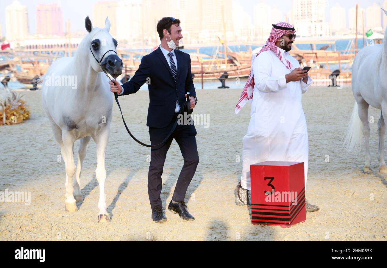 Doha, Katar. 11th. Februar 2022. Das Katara International Arabian Horse Festival (KIAHF) ist ein Weltklasse-Event und das größte Reitersportereignis, das von Katara (Katar) veranstaltet wird. Als eine der weltweit bestplatzierten Shows sind nur die besten Pferde teilnahmeberechtigt. Katar hat bereits 29 internationale Shows und Meisterschaften für reinrassige Araber veranstaltet. (Bild: © Sidhik Keerantakath/Pacific Press via ZUMA Press Wire) Bild: ZUMA Press, Inc./Alamy Live News Stockfoto