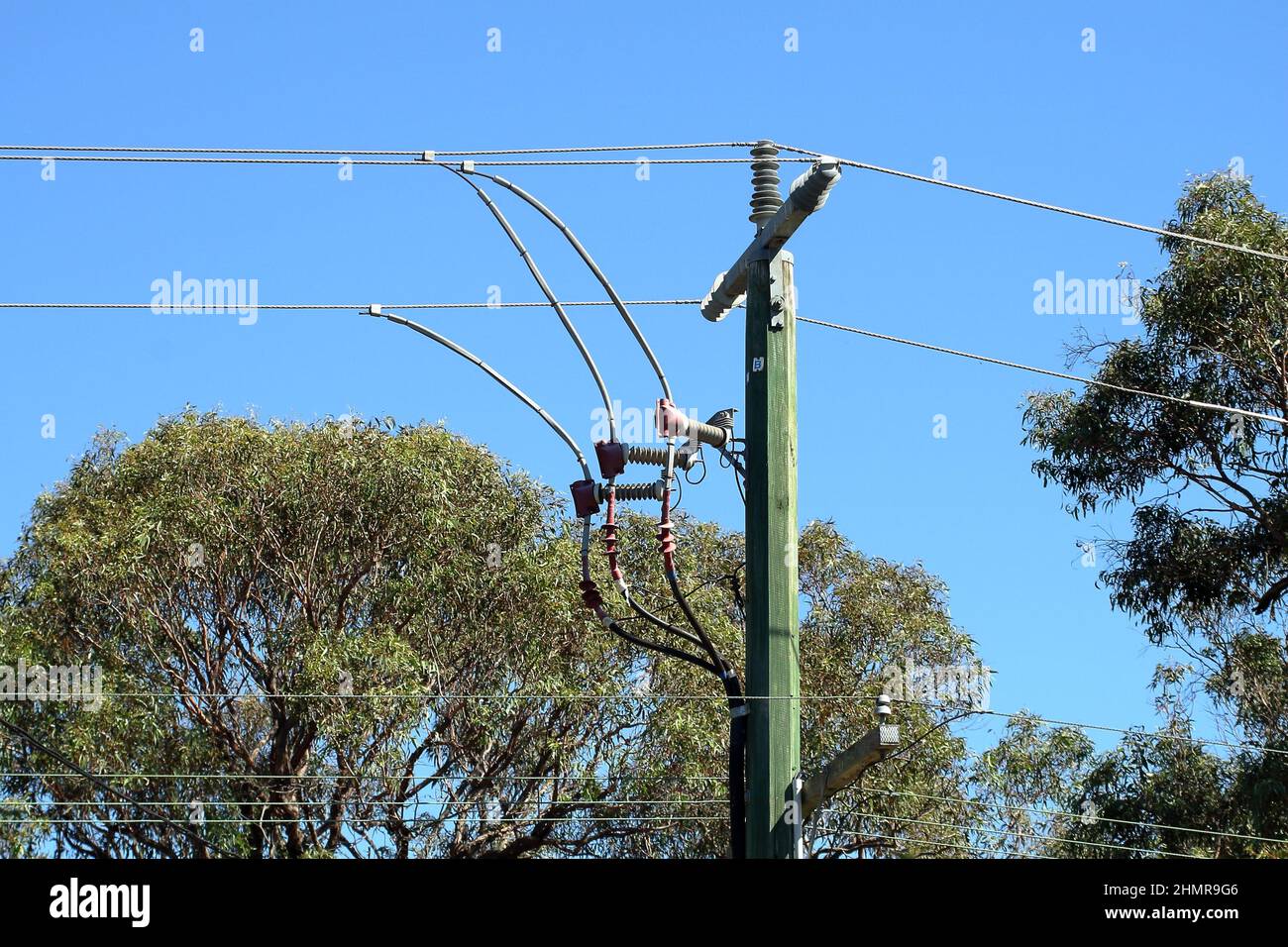Strommast mit Stromleitungen und Isolatoren, vorstadt Melbourne, Australien. Stockfoto