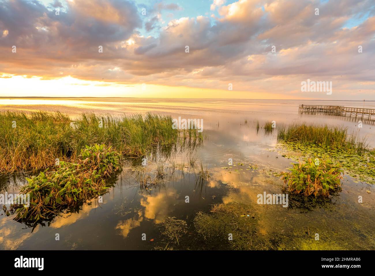 Geschwollene weiße Wolken über einem See in Florida bei Sonnenuntergang Stockfoto