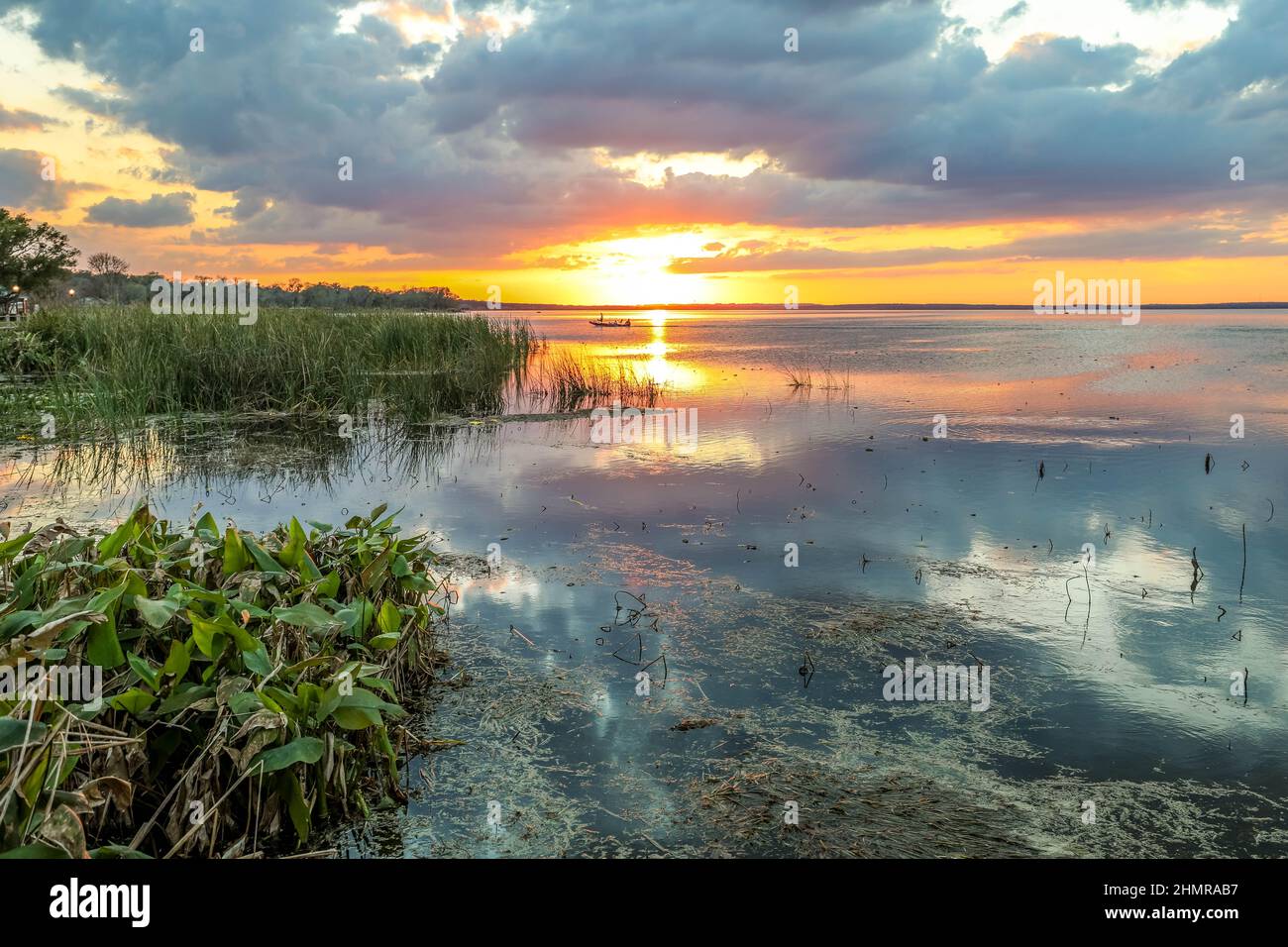 Sonnenuntergang über Feuchtgebieten auf einem See in Florida Stockfoto