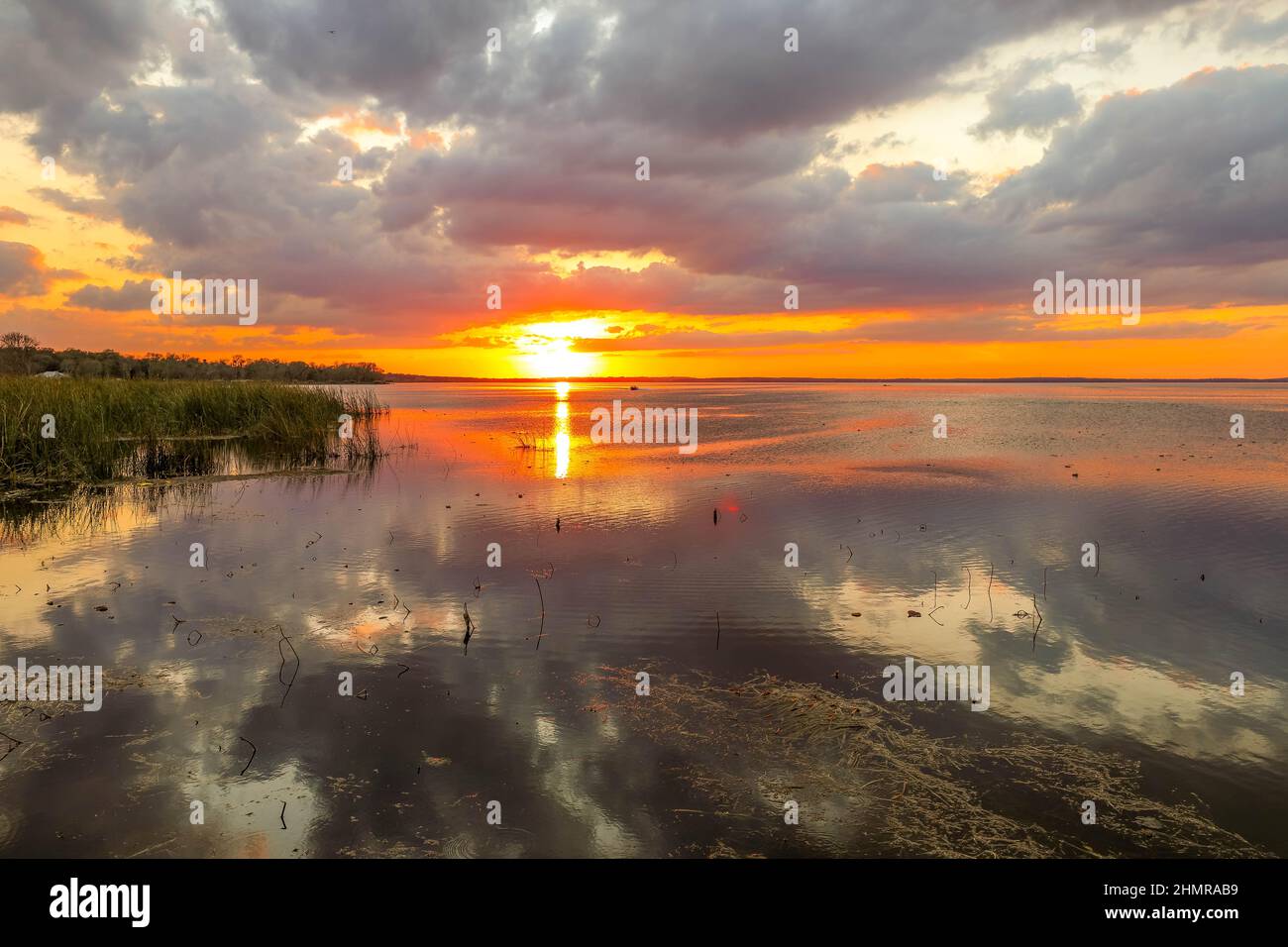 Brillanter Sonnenuntergang über dem Lake Apopka in Florida Stockfoto