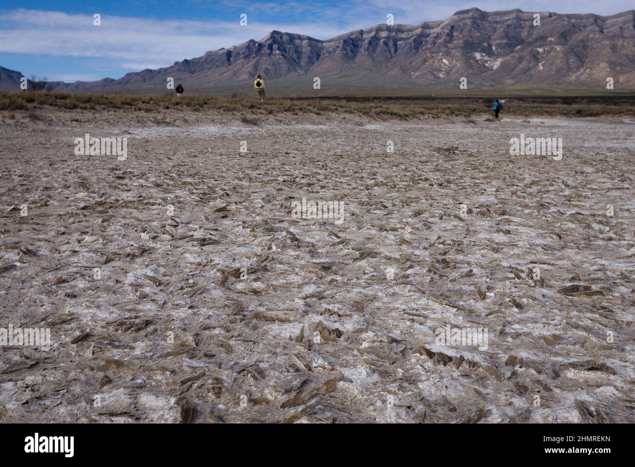 Scharfkantige Selenitkristalle - die Quelle von Gipssand - streut den Lake Lucero in New Mexico. Stockfoto