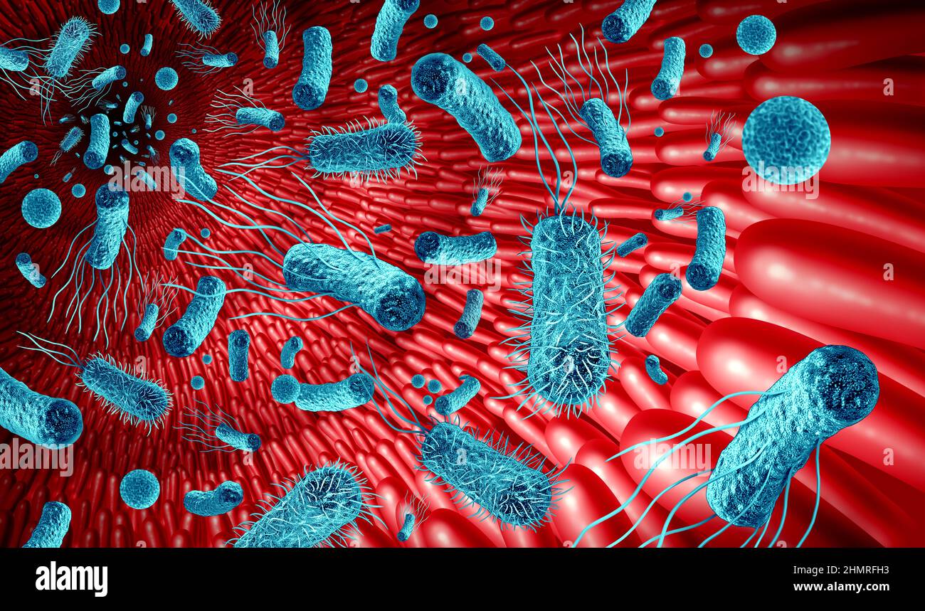 Mikrobiom im Darm Konzept als Bakterienflora im Darm als Verdauungssymbol im Darmtrakt. Stockfoto