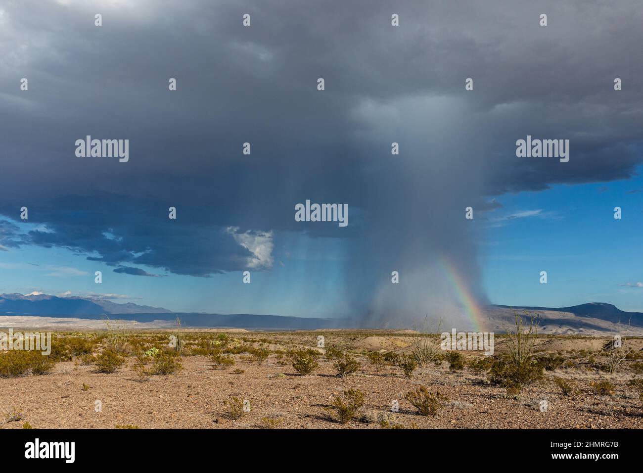 Ein Regenbogen bildet sich im Abfluss eines Gewitters der Chihuahuan-Wüste. Stockfoto