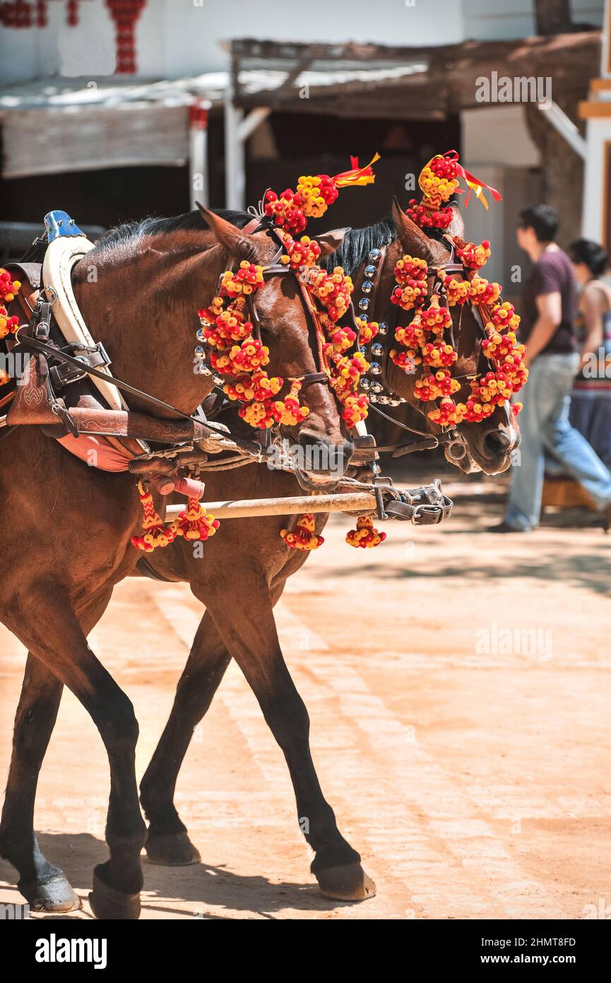 Ornamente auf dem Kopf der Kutschenpferde auf dem Jahrmarkt in Jerez de la Frontera Caáz Stockfoto