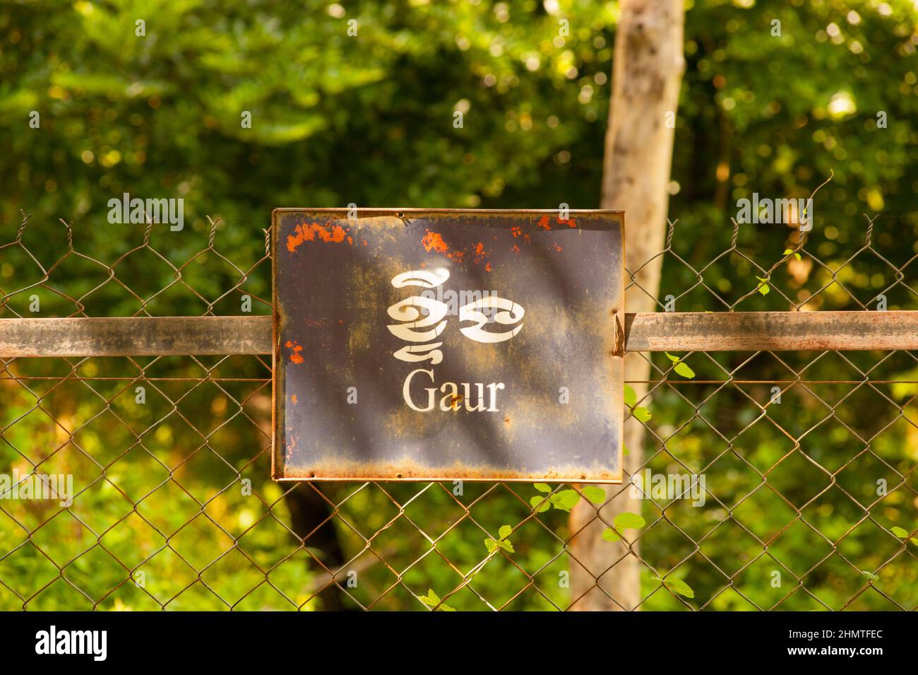 Zweisprachiges 'Gaur'-Schild, Phnom Tamao Wildlife Rescue Centre, Takeo Province, Kambodscha. Quelle: Kraig lieb Stockfoto