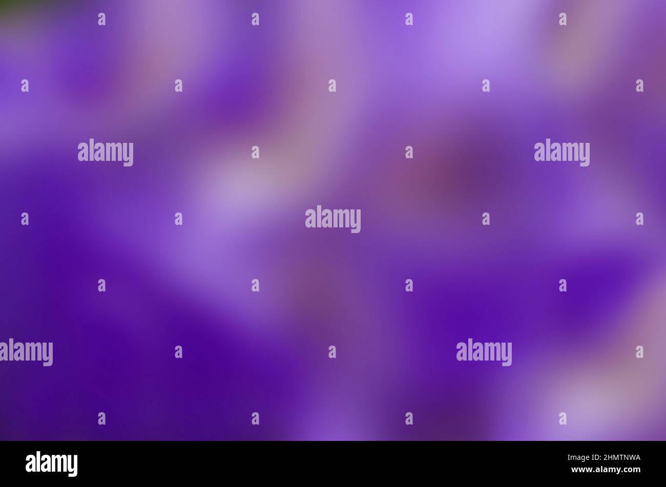 Violetter abstrakter Hintergrund für Ihren Text Stockfoto