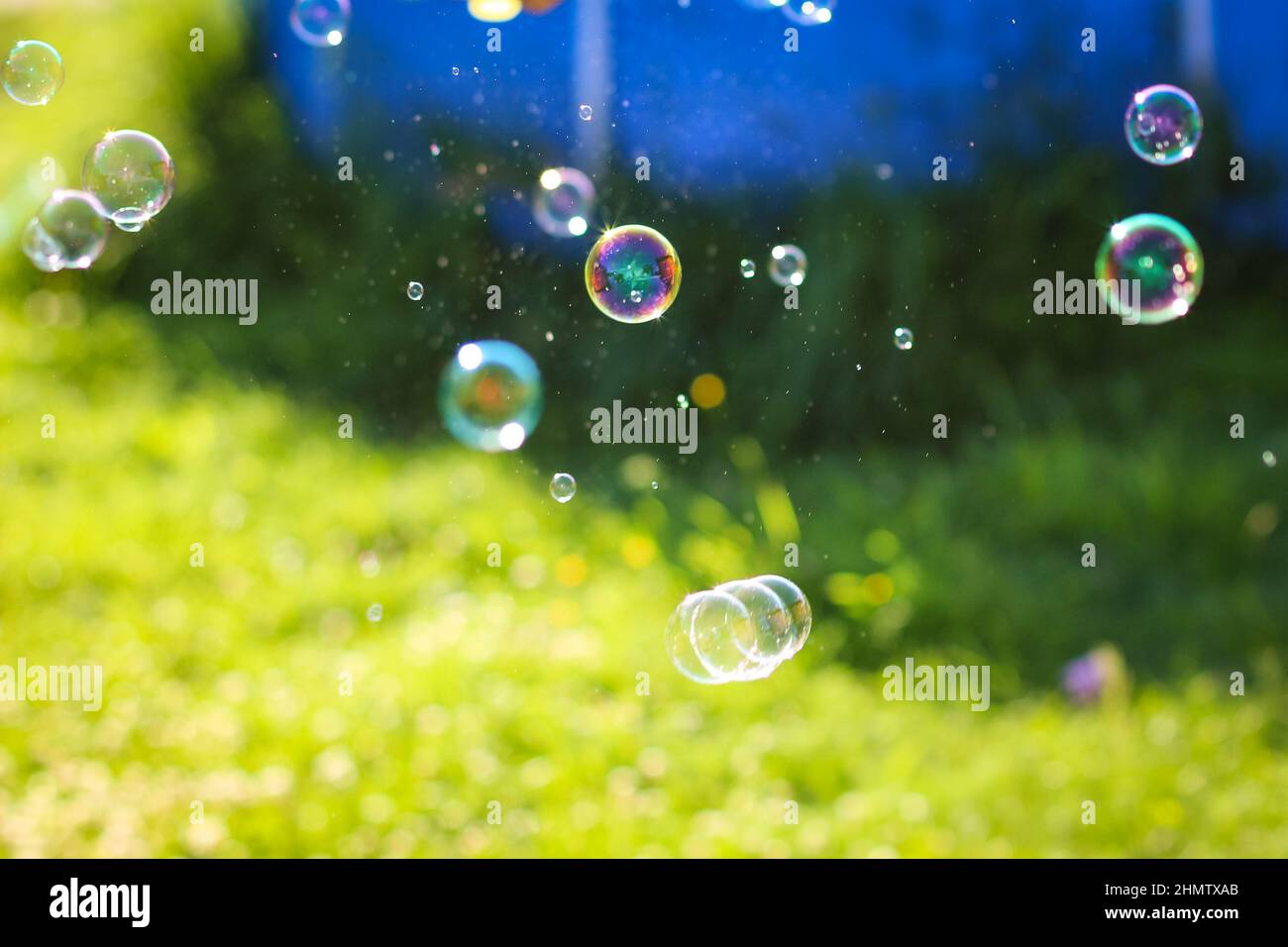 Regenbogenblasen schweben im Gartenpark. Sommer verspielt Hintergrund. Stockfoto